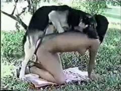 Slutty strumpets fucking with dogs